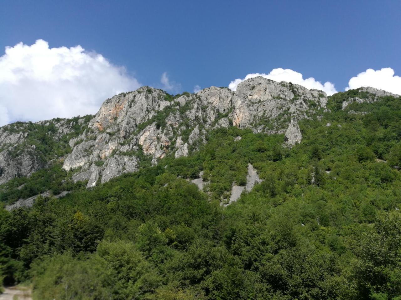 Juzni Vetar Hotel Trnski Odorovci Exterior foto